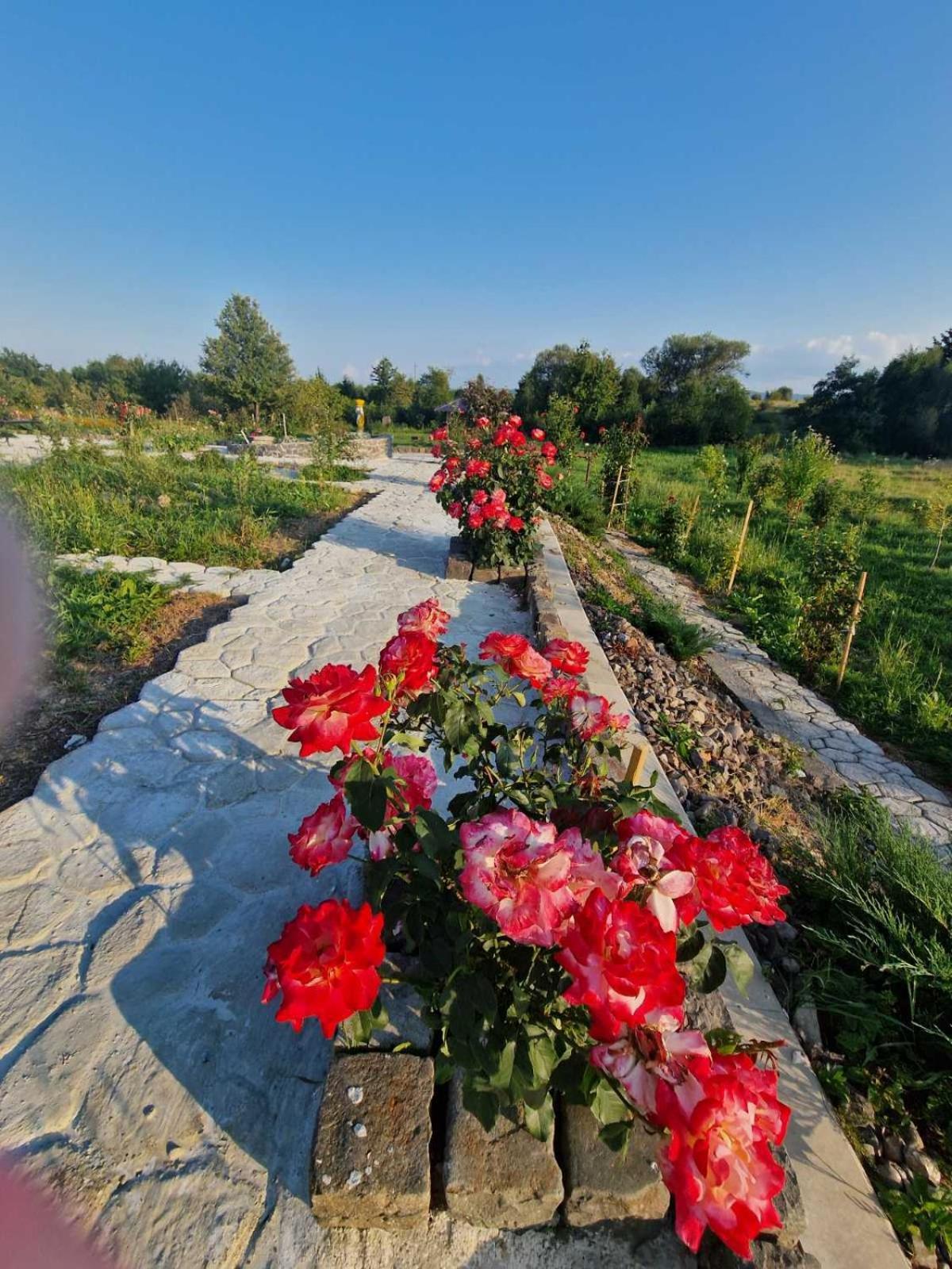 Вілла Сади Єви Lyubintsy Exterior foto